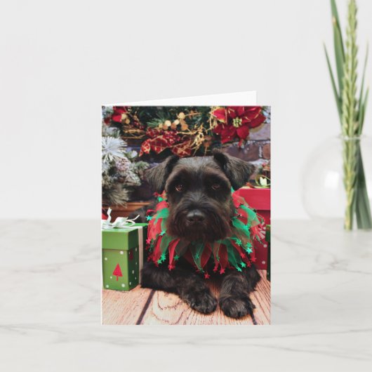 Weihnachten - Schnauzer Mix - Bentley (Vorderseite)