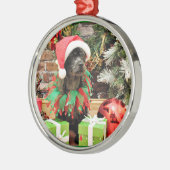 Weihnachten - Schnoodle - Anfänger Silbernes Ornament (Links)