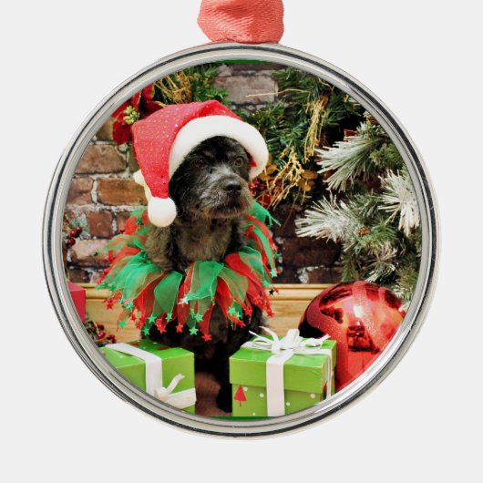 Weihnachten - Schnoodle - Anfänger Silbernes Ornament (Vorne)