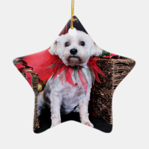 Weihnachten - Schnoodle - Zoey Keramikornament