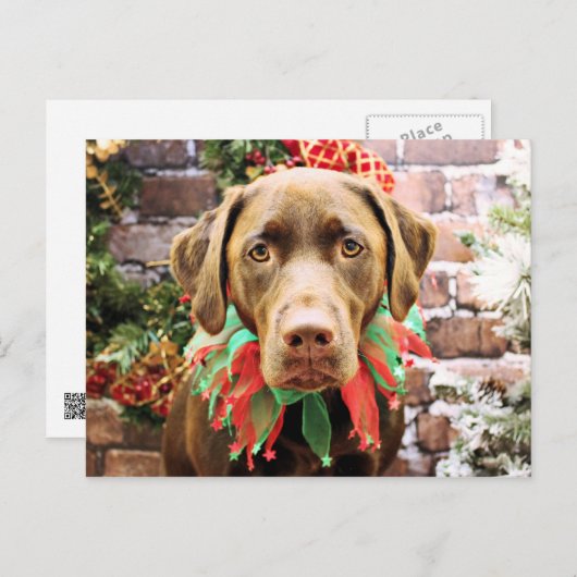 Weihnachten - Schokolade Labrador - Hershey (Vorne/Hinten)