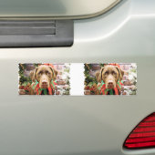 Weihnachten - Schokolade Labrador - Hershey Autoaufkleber (Auf Auto)