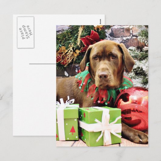 Weihnachten - Schokolade Labrador - Zena (Vorne/Hinten)