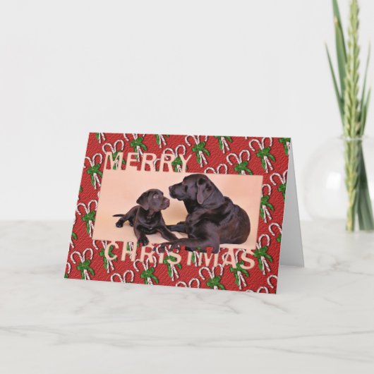 Weihnachten - Schokolade Labradors (Vorderseite)