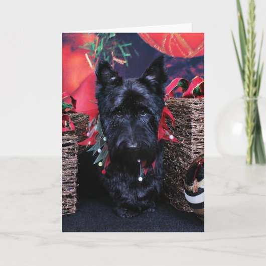 Weihnachten - Schottland - Paisley (Vorderseite)