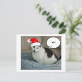 Weihnachten Schwarz und Weiß Kitten (Stehend Vorderseite)