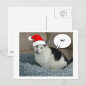 Weihnachten Schwarz und Weiß Kitten (Vorne/Hinten)