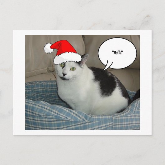 Weihnachten Schwarz und Weiß Kitten (Vorderseite)