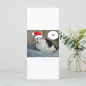Weihnachten Schwarz und Weiß Kitten (Stehend Vorderseite)
