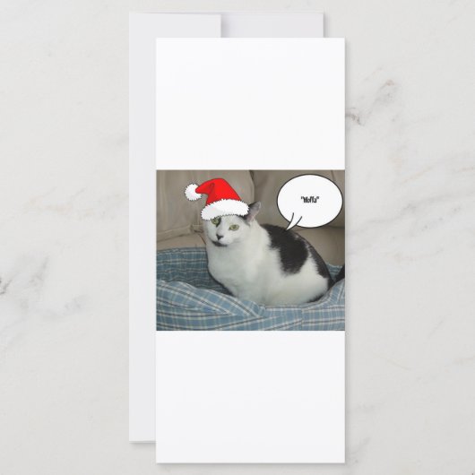 Weihnachten Schwarz und Weiß Kitten (Vorderseite)