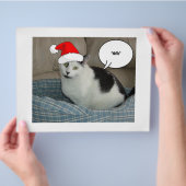 Weihnachten Schwarz und Weiß Kitten Flyer (Hand)