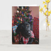 Weihnachten - Schwarzes Labor Karte (Gelbe Blume)