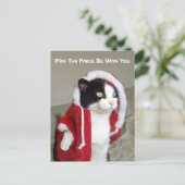 Weihnachten Sci-Fi Parody Cat Funny Post Card Funn (Stehend Vorderseite)