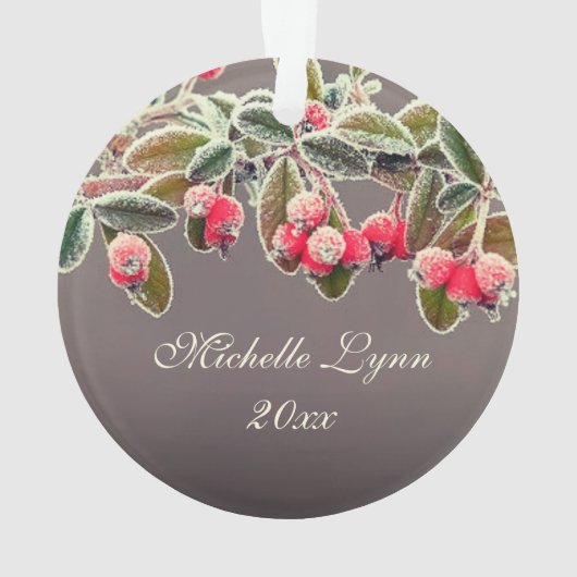 Weihnachten Segen Zahlen 6:24-26 Lord segne Sie Ornament (Rückseite)