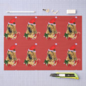 Weihnachten Seidenpapier (Handwerk)