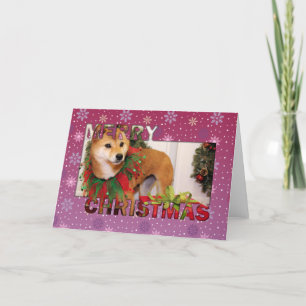 Weihnachten - Shiba Inu Fotokarte
