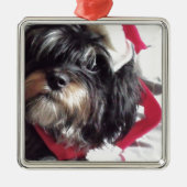 Weihnachten Shih Poo Ornament Aus Metall (Vorne)
