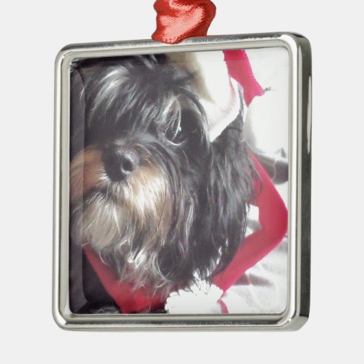 Weihnachten Shih Poo Ornament Aus Metall (Links)
