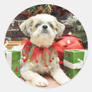 Weihnachten - Shih Tzu - Bailey Runder Aufkleber