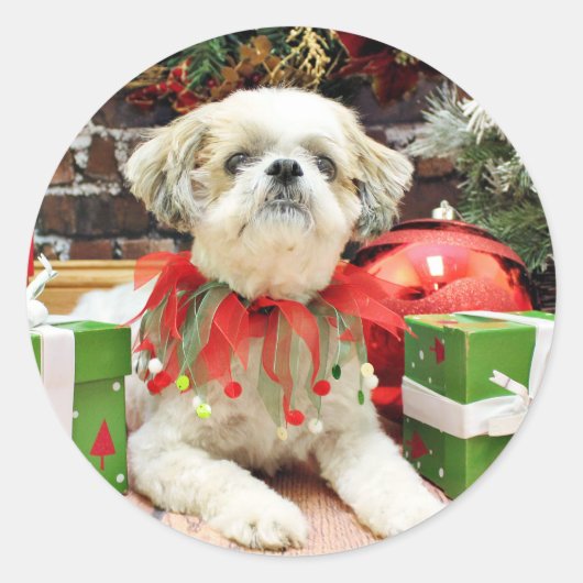 Weihnachten - Shih Tzu - Bailey Runder Aufkleber (Vorderseite)