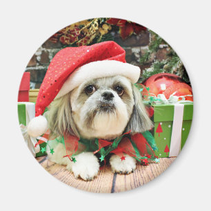 Weihnachten - Shih Tzu - Ding Magnet
