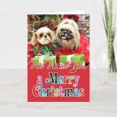 Weihnachten - Shih Tzu - Earl and Opal (Vorderseite)