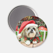 Weihnachten - Shih Tzu - Gizmo Magnet (Vorderseite/Rückseite)