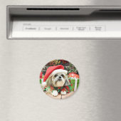 Weihnachten - Shih Tzu - Gizmo Magnet (In Situ (Geschirrspüler))