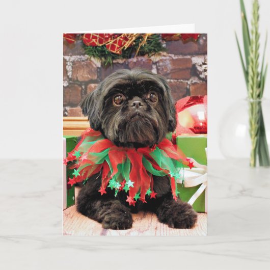 Weihnachten - Shih Tzu - Lily (Vorderseite)