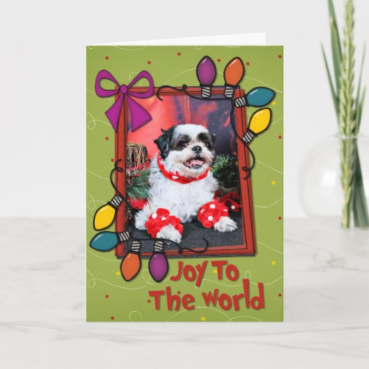 Weihnachten - Shih Tzu - Mishka (Vorderseite)