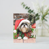 Weihnachten - Shih Tzu - Vince (Stehend Vorderseite)