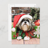 Weihnachten - Shih Tzu - Vince (Vorne/Hinten)