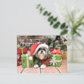 Weihnachten - Shih Tzu - Vince (Stehend Vorderseite)