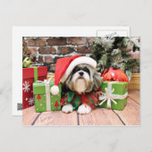 Weihnachten - Shih Tzu - Vince (Vorne/Hinten)