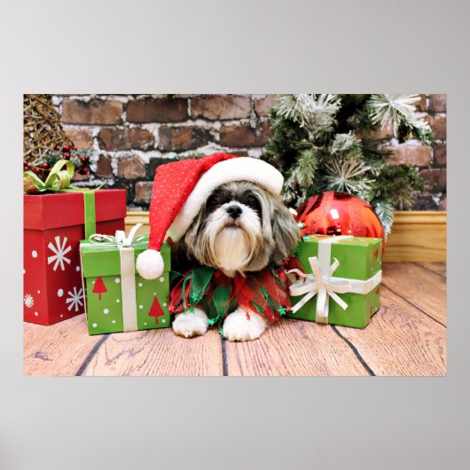 Weihnachten - Shih Tzu - Vince Poster (Vorne)