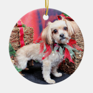 Weihnachten - Shorkie - Charlie Keramikornament