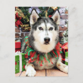 Weihnachten - Siberischer Husky - Nika (Vorderseite)