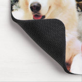Weihnachten - sibirischer Huskies - Bailey und Mousepad (Ecke)