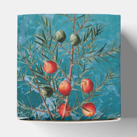 Weihnachten Sommer Strand frohe Weihnachten Geschenkschachtel (Oben)