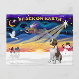 Weihnachten - Sonnenaufgang - Saint Bernard 1