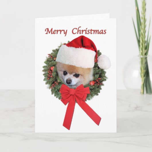 Weihnachten, Spitz Hund, Weihnachtsmannmütze Feiertagskarte (Vorderseite)