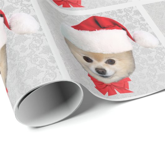 Weihnachten, Spitz-Hund, Weihnachtsmannmütze Geschenkpapier (Rolleneckpunkt)