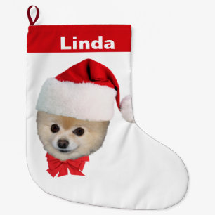 Weihnachten, Spitz-Hund, Weihnachtsmannmütze, Nam Großer Weihnachtsstrumpf