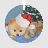 Weihnachten, Spitz-Hund, Weihnachtsmannmütze Ornament (Rückseite)