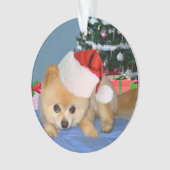Weihnachten, Spitz-Hund, Weihnachtsmannmütze Ornament (Vorderseite)