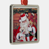 Weihnachten - Spitz - Toby u. Andy Silbernes Ornament (Rechts)