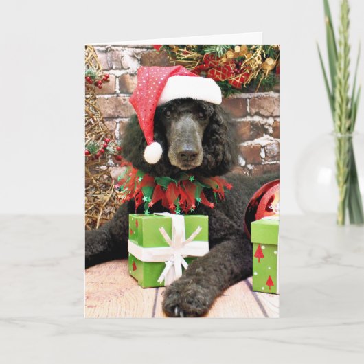 Weihnachten - Standard Poodle - Bronco (Vorderseite)