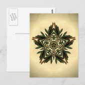 Weihnachten Star Postkarte (Vorne/Hinten)