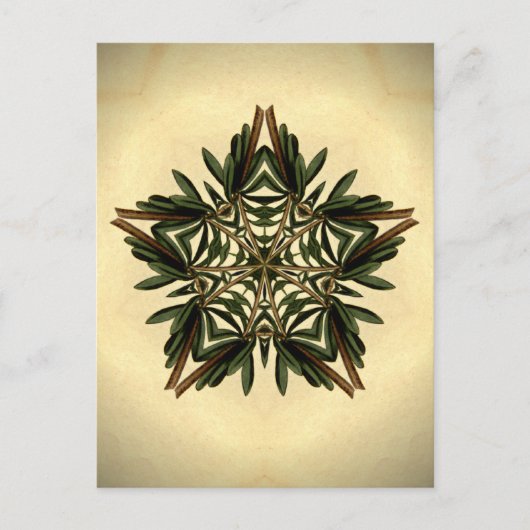 Weihnachten Star Postkarte (Vorderseite)