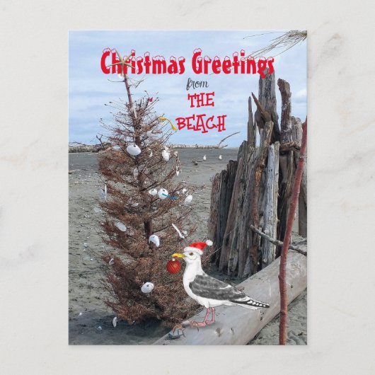 Weihnachten Strand Foto Seagull Driftwood Spaß (Vorderseite)